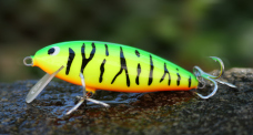 Wobler 3STAN Fatty 70 shallow